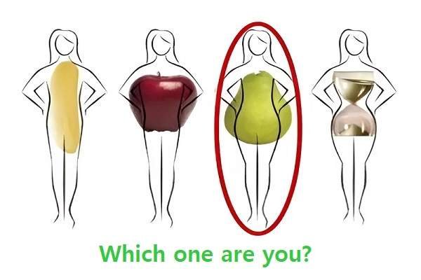 Body Type Analysis